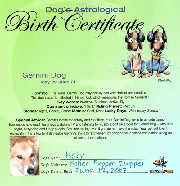 cert2 Cat & Dog Birth Certificates